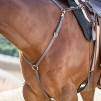 Tapered Harness Leather Breast Plate
