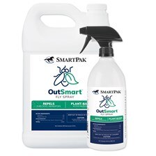 OutSmart&reg; Fly Spray