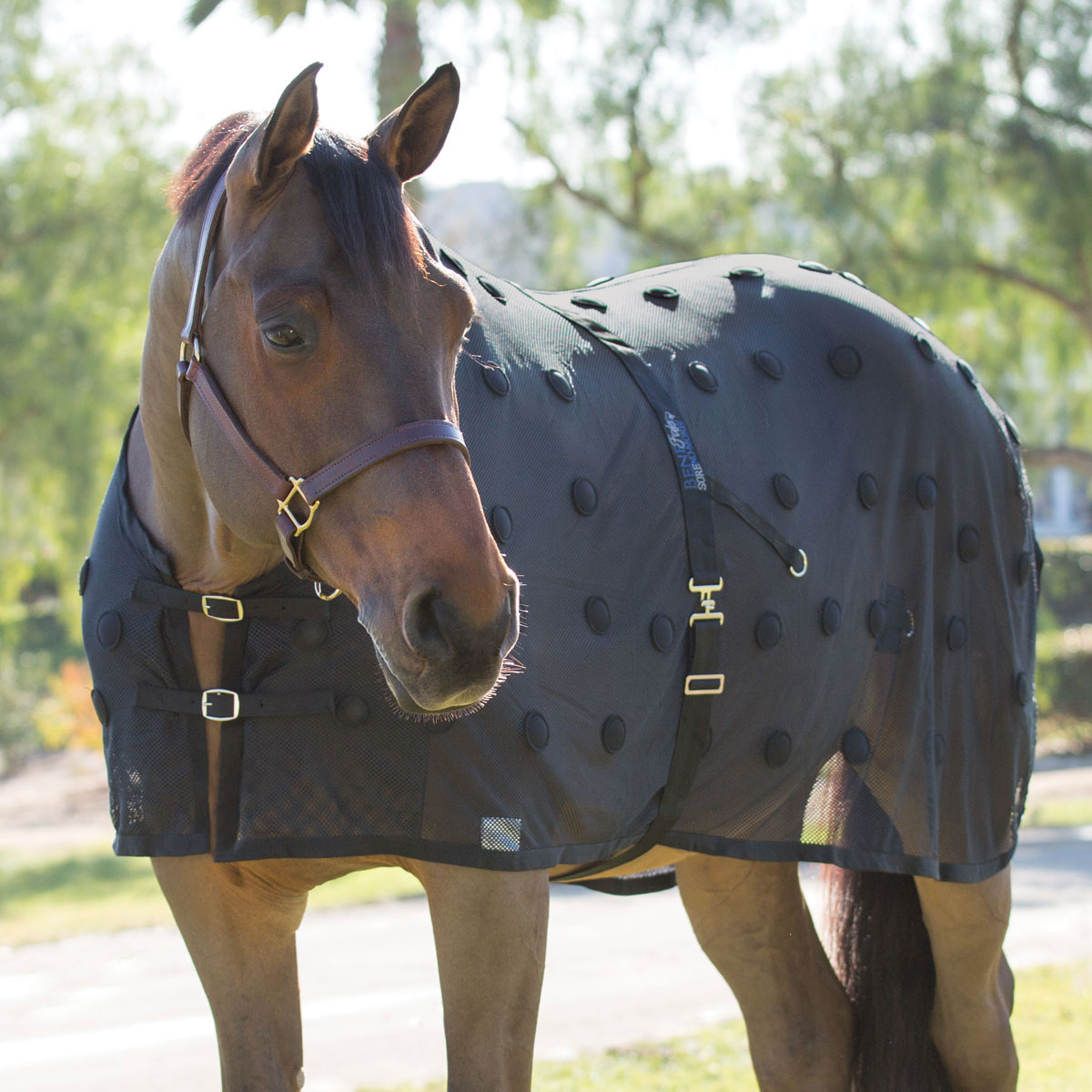 WESTERN OR ENGLISH SADDLE HORSE MAGNETIC THERAPY BLANKET SHEET W/ MAGNETS 