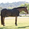 Benefab&reg; Rejuvenate Scrim - 
