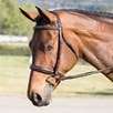Ovation Fancy Stitch Raised Padded Bridle - Brown