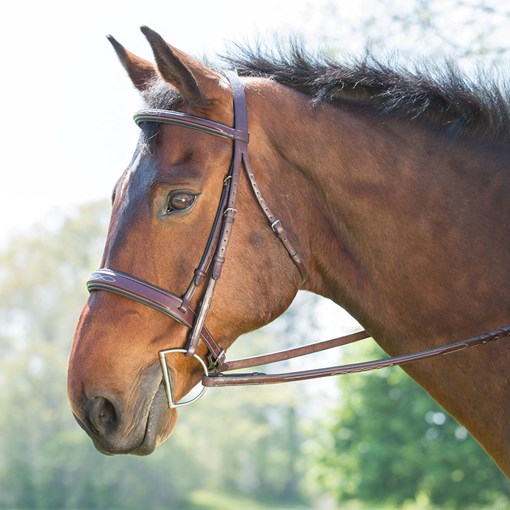 Ovation Fancy Stitch Wide Noseband Padded 