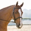 Harwich&reg; Dressage Bridle by SmartPak - Black