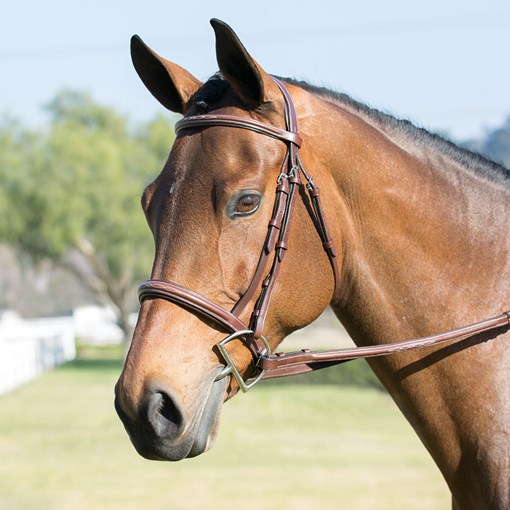 Harwich&reg; Hunter Bridle by SmartPak