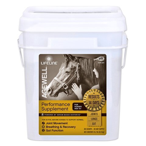 Glucosamine hcl glucosamine sulfate horse bioavailability