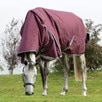 WeatherBeeta ComFiTec Plus Dynamic Detach-A-Neck Turnout Blanket - Clearance! - 