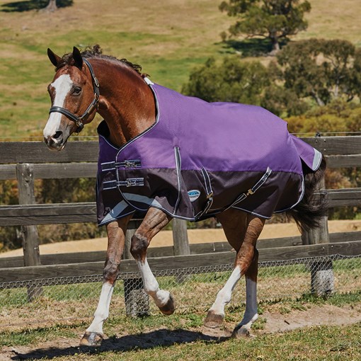 WeatherBeeta ComFiTec Plus Dynamic Turnout Blanket