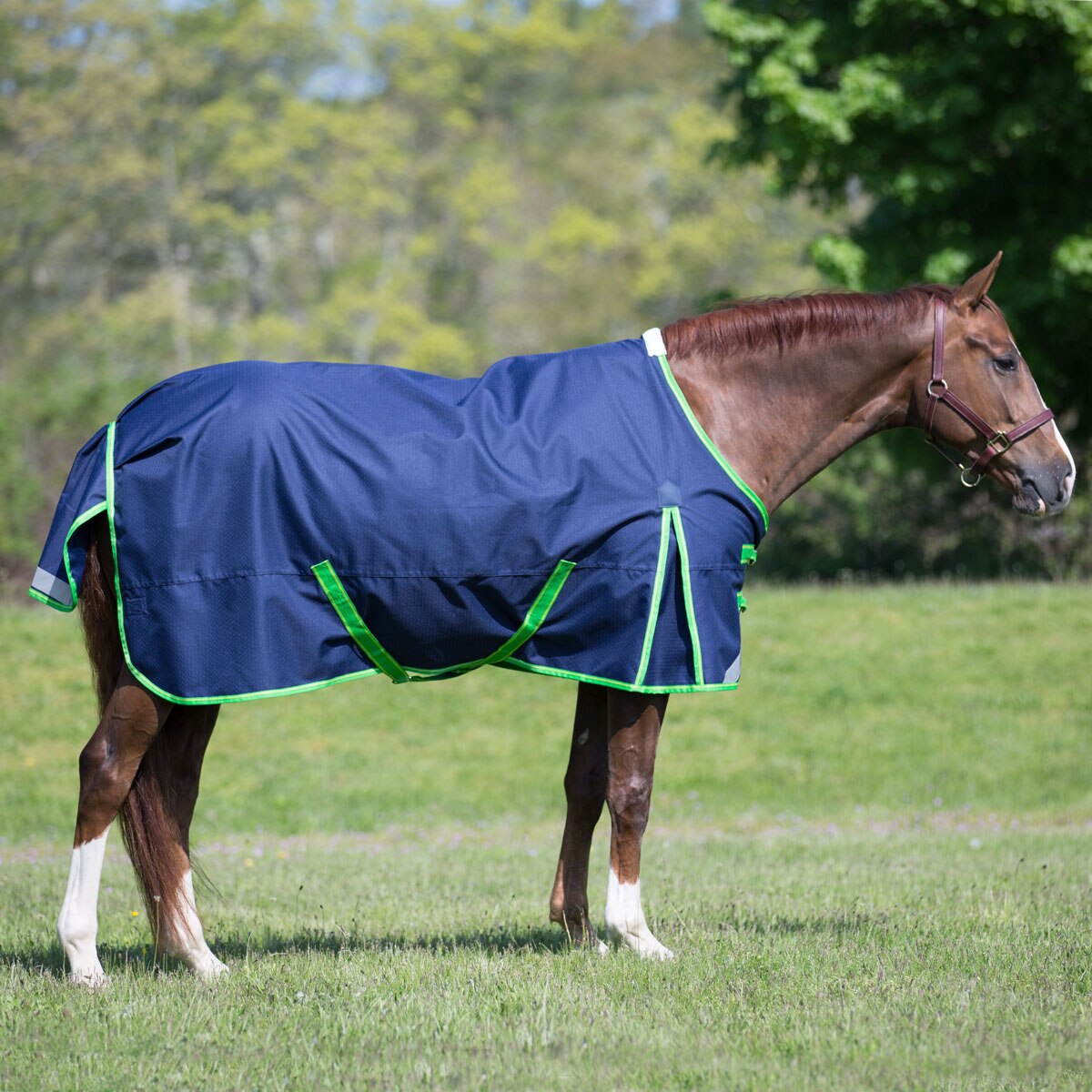 WeatherBeeta ComFiTec Plus Dynamic Turnout Sheet