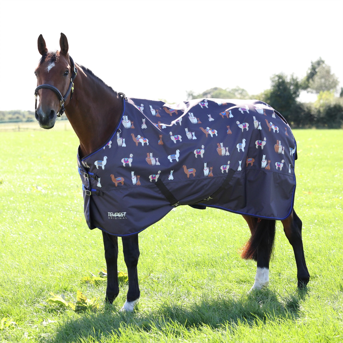 Shires Tempest Original 50 Chemise De Pluie Bleu 1,5 M