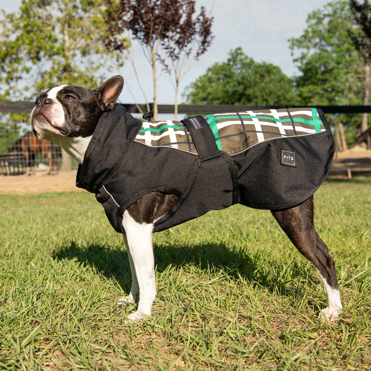 DogsMart lv all weather t-shirt for dog clothes (2xl)