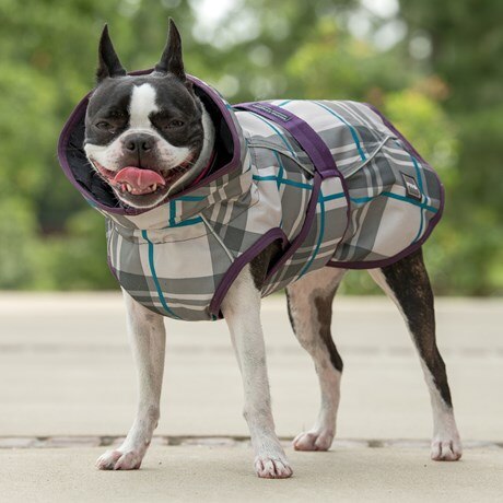 FITS All Weather Dog Coat