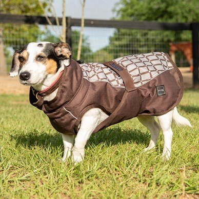 Www Dog Fort Xxx - FITS All Weather Dog Coat