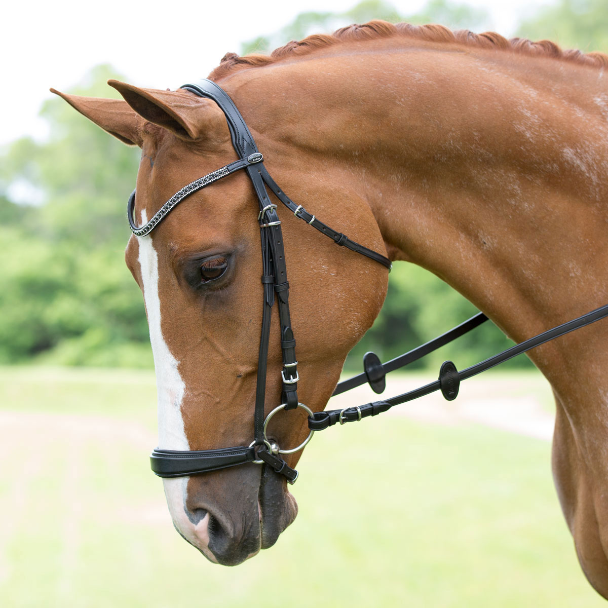 Kavalkade Isabella Drop Noseband Bridle