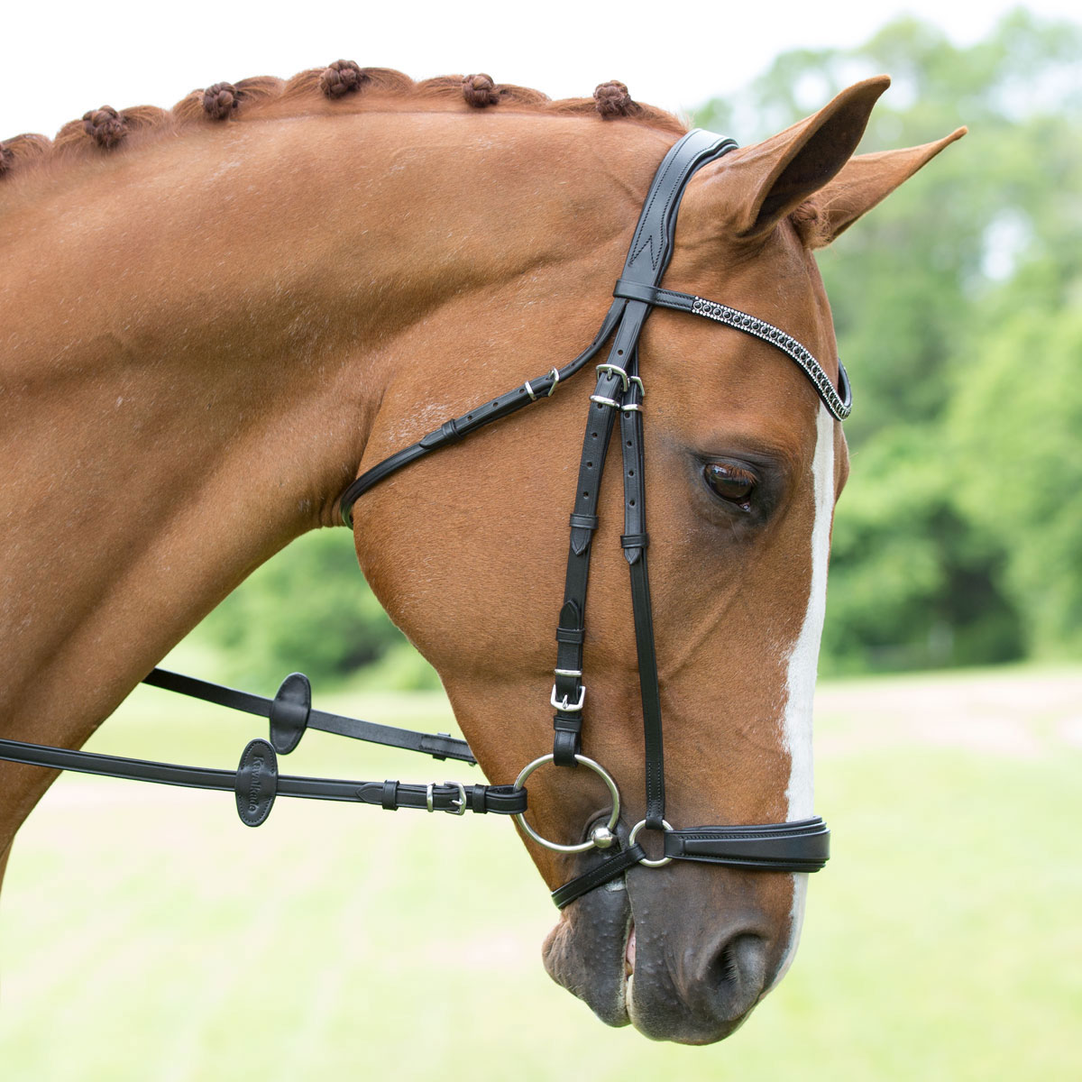 New Collegiate Padded Browband Brown was £13.50 