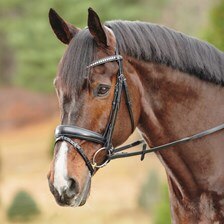Passier Atlas Snaffle Bridle