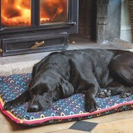 Shires Waterproof Dog Bed