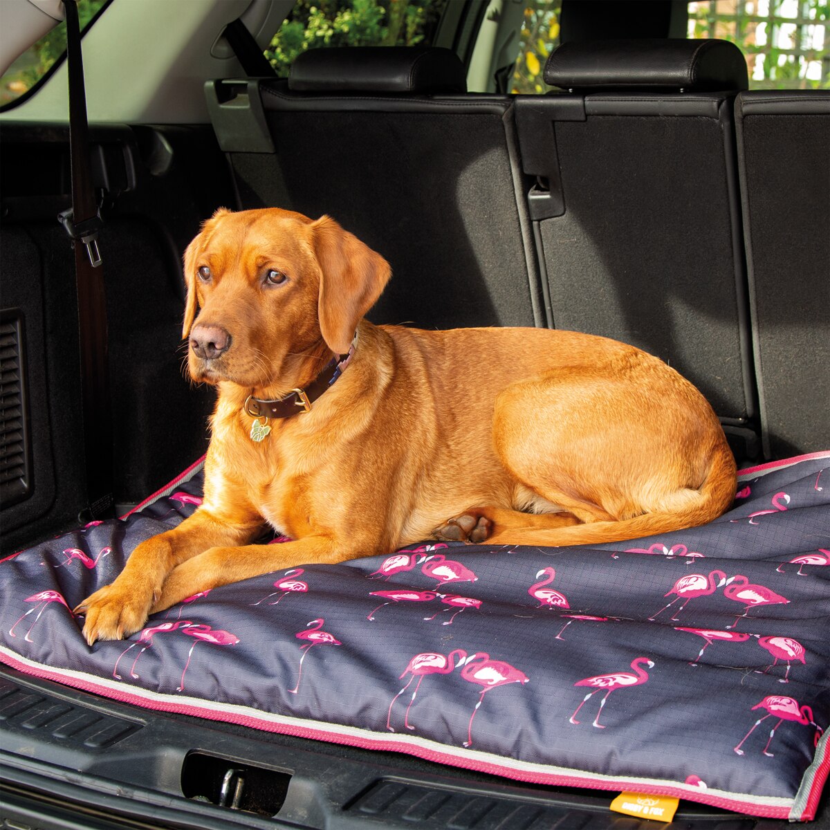 Shires Waterproof Dog Bed