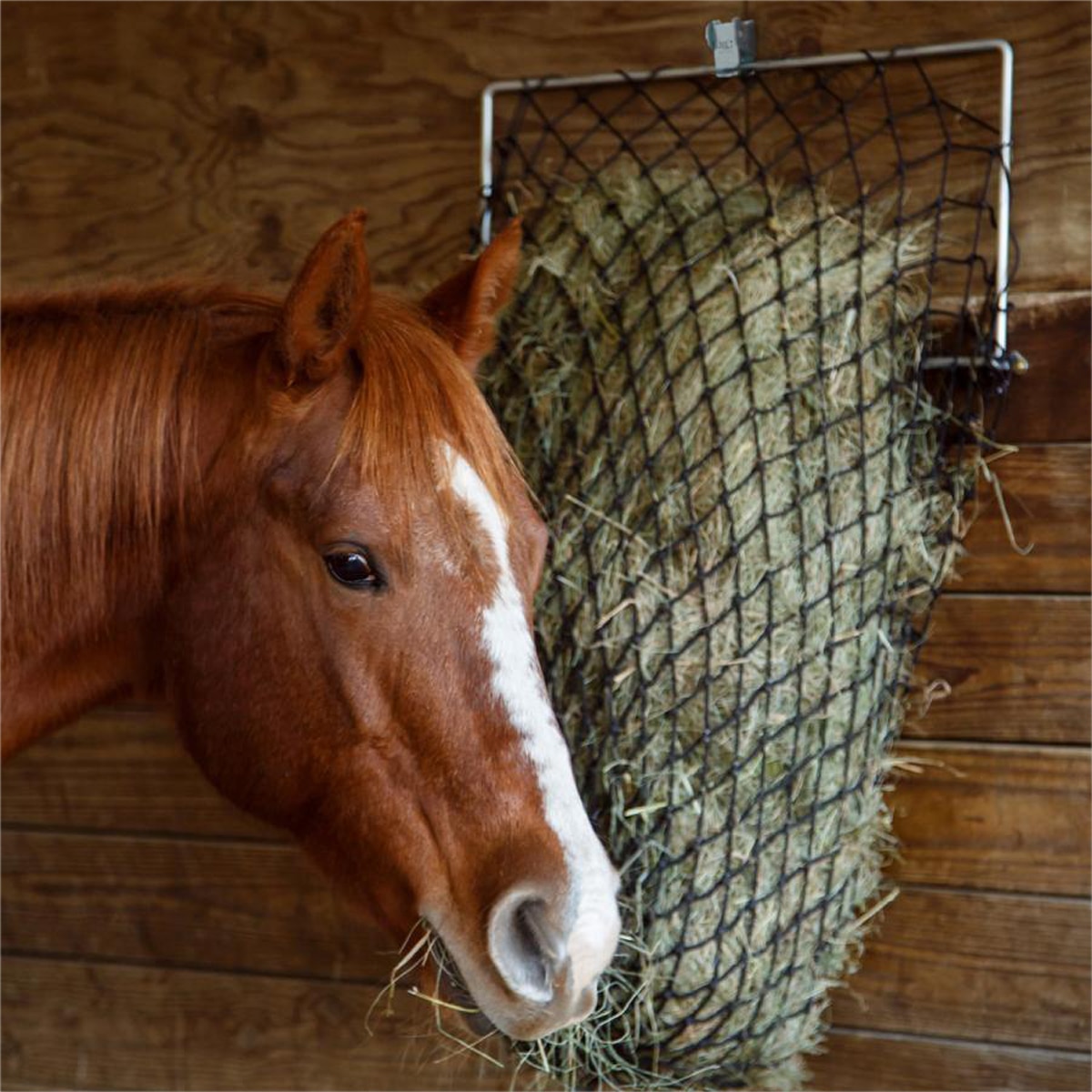Shires Greedy Feeder Haylage /Hay Nets For Fat Horses and Ponies Small BN 