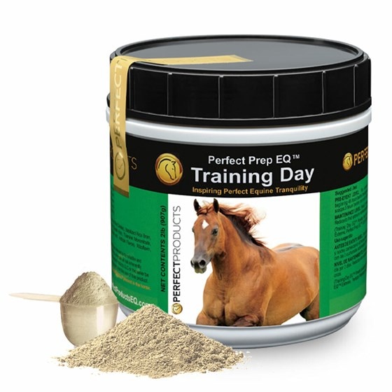 Perfect Prep EQ™ Training Day Powder