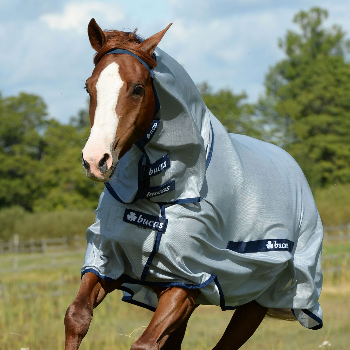 Details about   Bucas Buzz Off Classic Fly Sheet