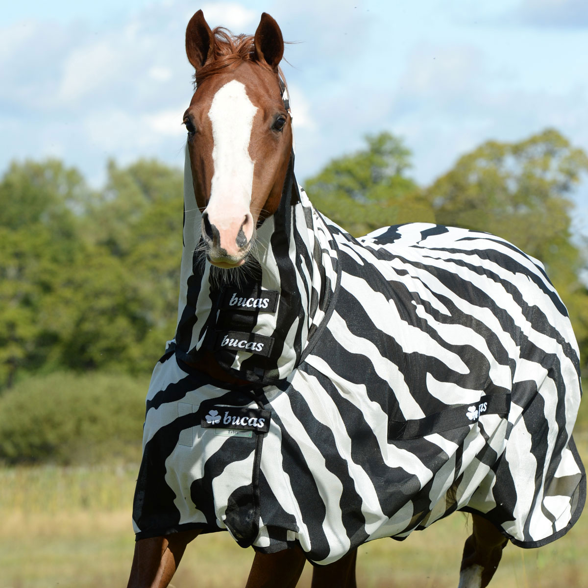 Bucas Full Neck Fly Sheet Highly Breathable with Detachable Belly Band 