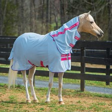 Amigo&reg; Pony Bug Rug Plus Fly Sheet