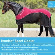 Rambo&reg; Sport Cooler