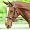 Harwich&reg; Wide Noseband Bridle by SmartPak - 