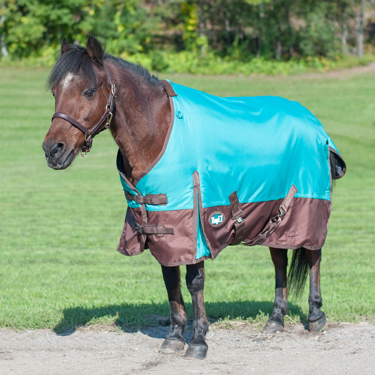 Tough 1 600D Waterproof Poly Full Neck Turnout Blanket
