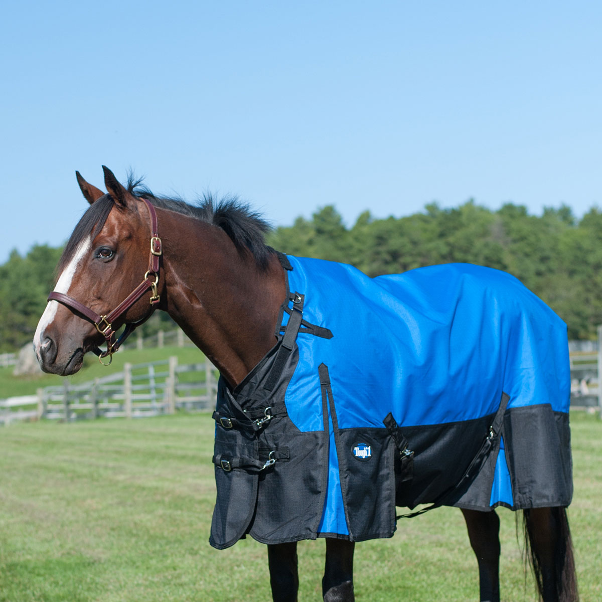 Tough 1 600D Waterproof Poly Adjustable Foal Blanket 
