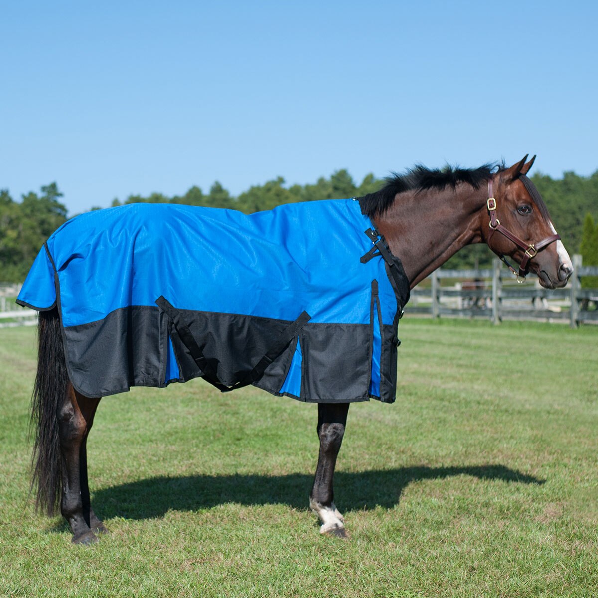 Tough-1 1200d Waterproof Poly Full Neck Turnout Blanket for sale online 