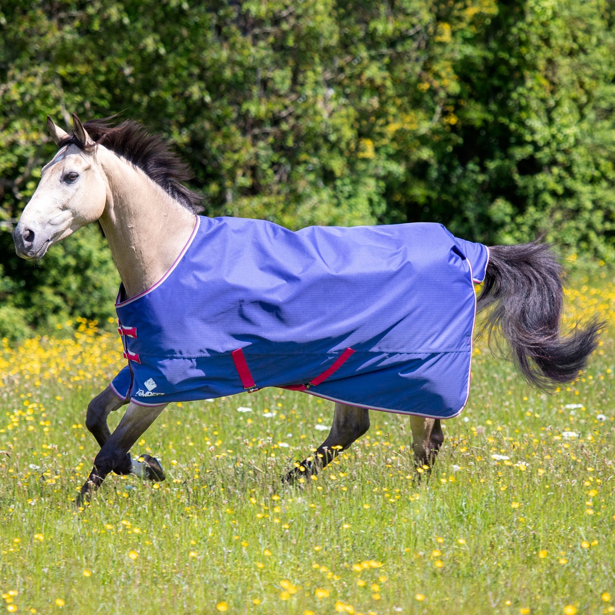 Shires Tempest Original Air Motion Turnout Rug comfort in warmer wet condition 