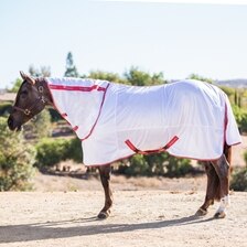 Smartpak Classic Fly Sheet 81 Pouces – Couverture Anti-mouches Cheval Argentée, Neuve