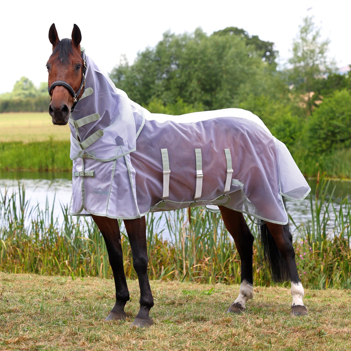 Shires Highlander Fine Mesh Fly Sheet & Neck Set
