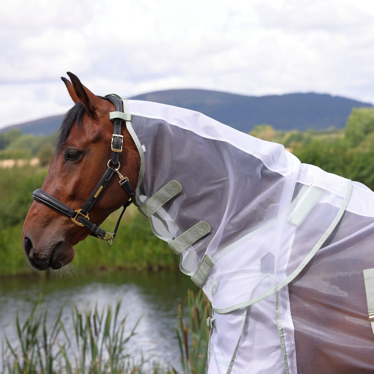 Shires Highlander Fine Mesh Fly Sheet & Neck Set