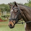 Kavalkade Ergonomic Ivy Bridle - 