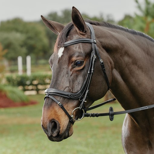 Kavalkade Ergonomic Ivy Bridle