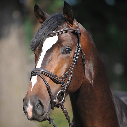 Kavalkade Ergonomic Ivy Bridle