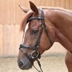 Kavalkade Ergonomic Ivy Bridle - 