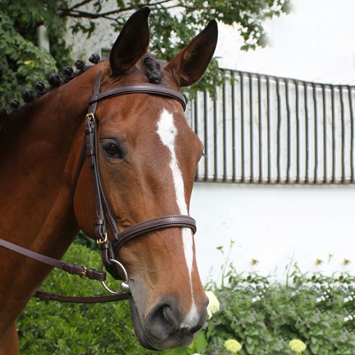 Nunn Finer Event Bridle