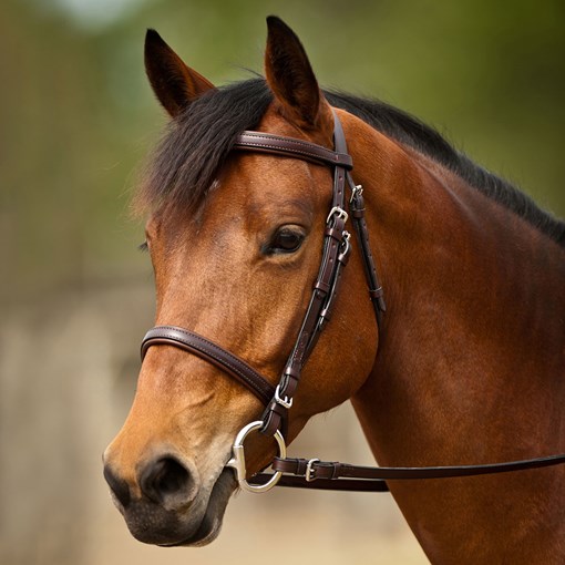 Nunn Finer Event Bridle