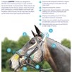 Collegiate Comfitec Training Bridle  - Brown