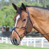 Plymouth&reg; Figure 8 Bridle by SmartPak