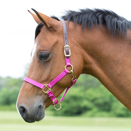 SmartPak Leather Crown Pony/Mini Halter