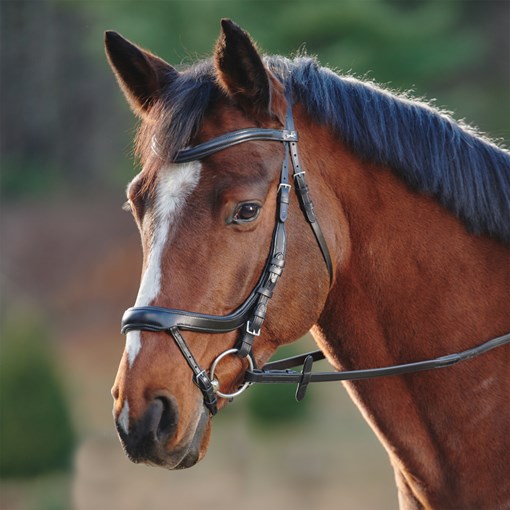 Schockemoehle Equitus Alpha Anatomical Bridle 