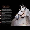 Schockemoehle Equitus Alpha Anatomical Bridle - 