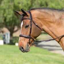 Camelot Fancy Stitched Wide Noseband Bridle
