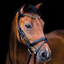 Stubben Freedom Bridle with Magic Tack Browband