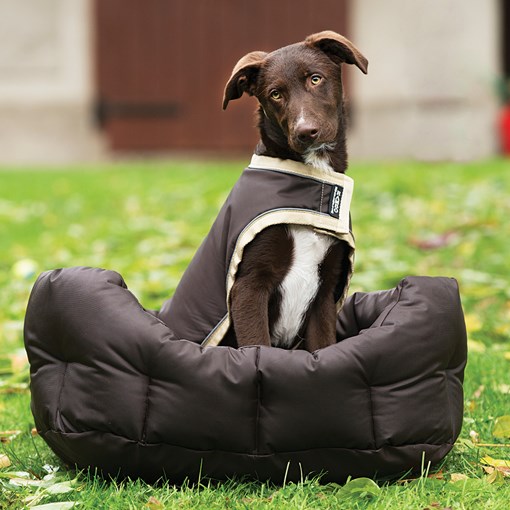 Rambo Waterproof Dog Blanket