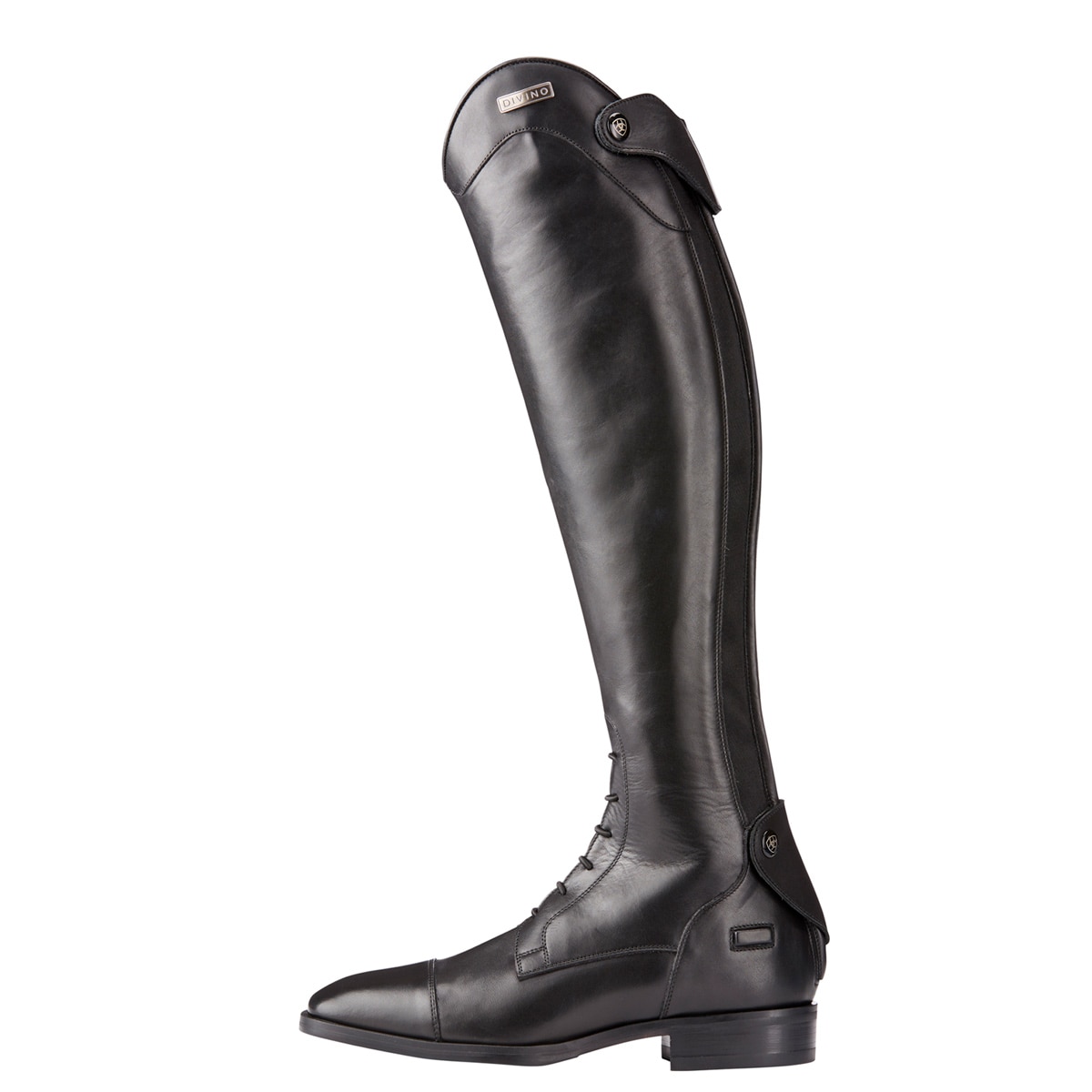 ariat elastic sided boots